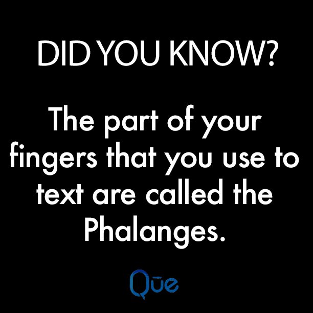 QueProducts's tweet photo. Fun fact: The part of your fingers that you use to text are called the phalanges #QuePhone #QueFact https://t.co/HYBD3fxhJX