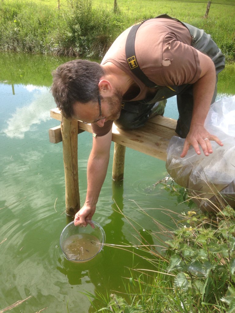 SScottFish's tweet photo. Hectic day tending my brood in the hatchery &amp; checking plankton in the fry ponds. Nearly time to wish them luck ! https://t.co/FVfkRwh2eu