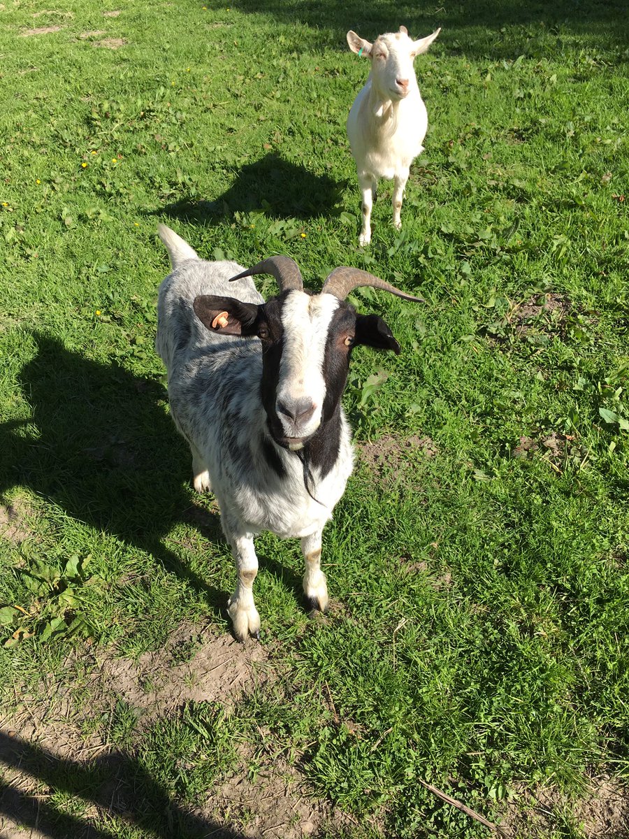 ProduceClass's tweet image. Wales Llangollen Uk