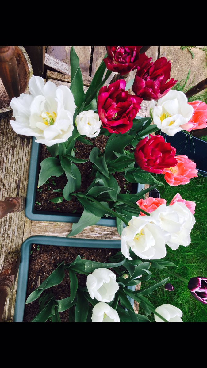 ProduceClass's tweet image. Uk