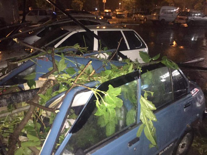 View image on Twitter