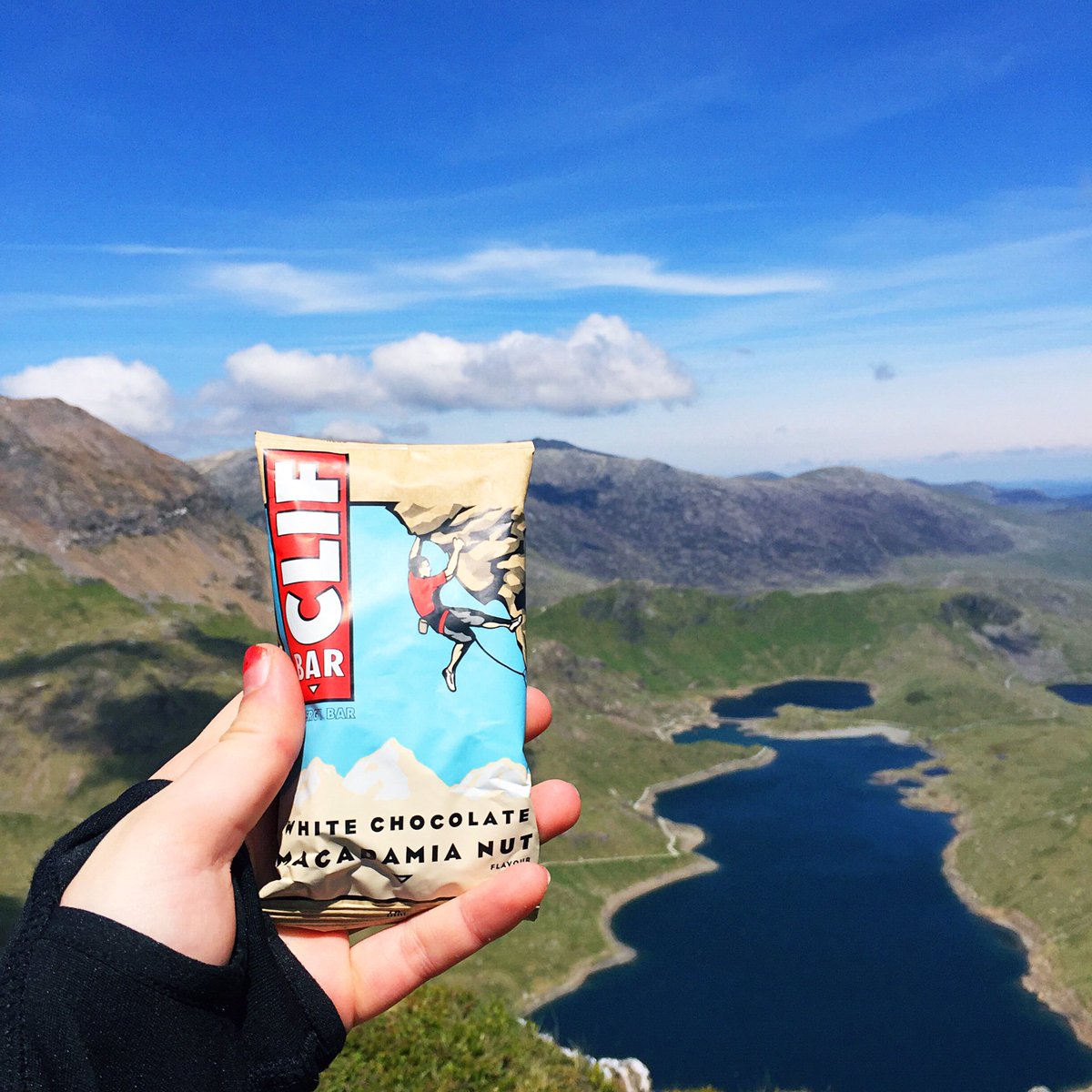 Stumped Studio tweet media