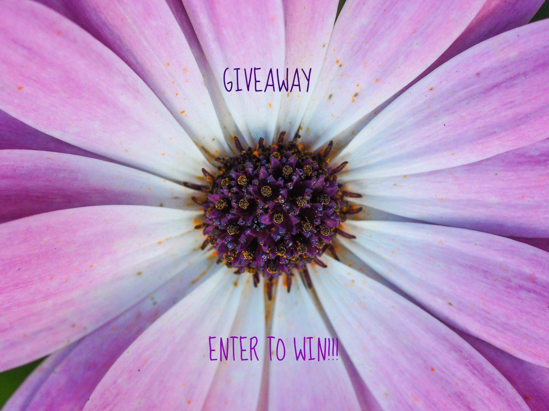 Preferred Mart tweet media