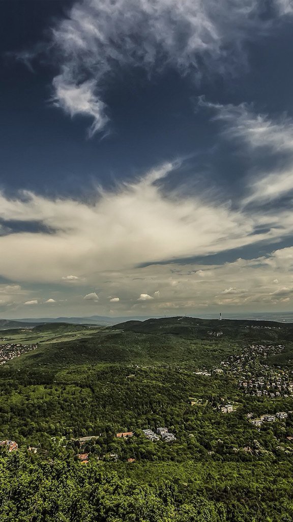 TeleWall's tweet image. 