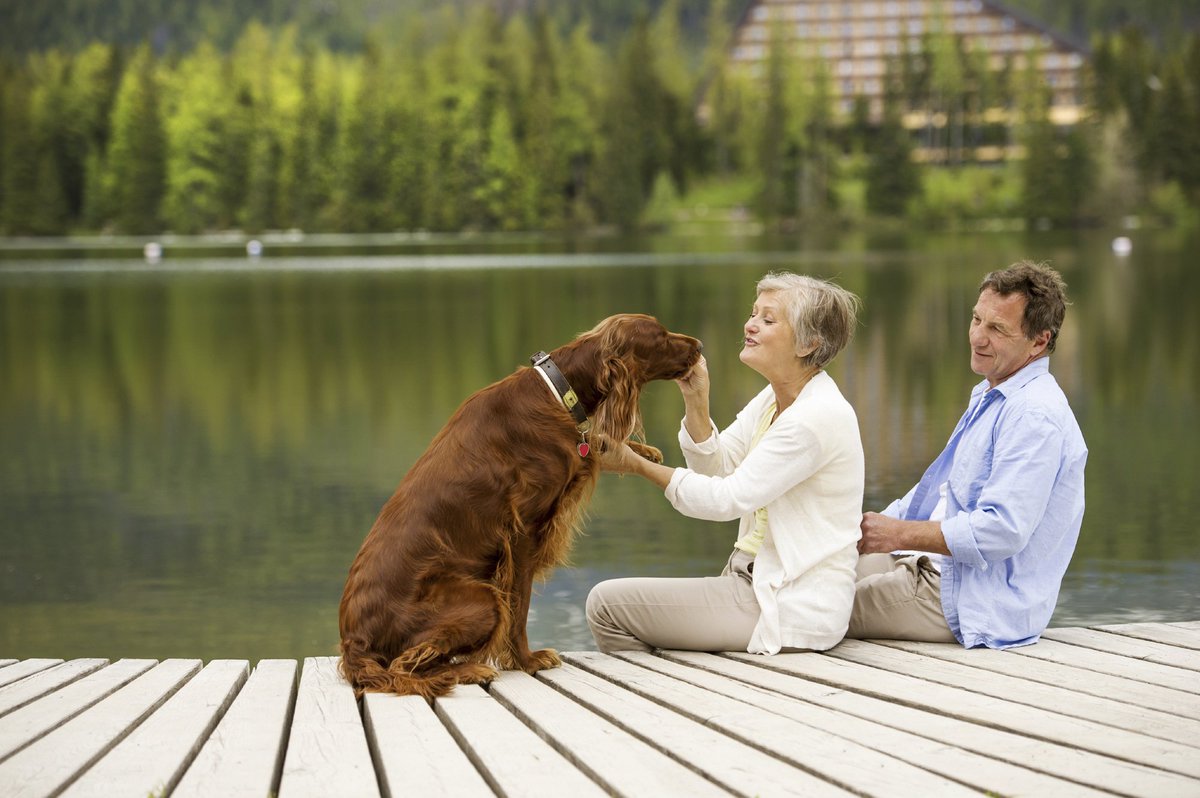 The health benefits of having a pet: hvrd.me/1055wO #HarvardHealth #petfriendly