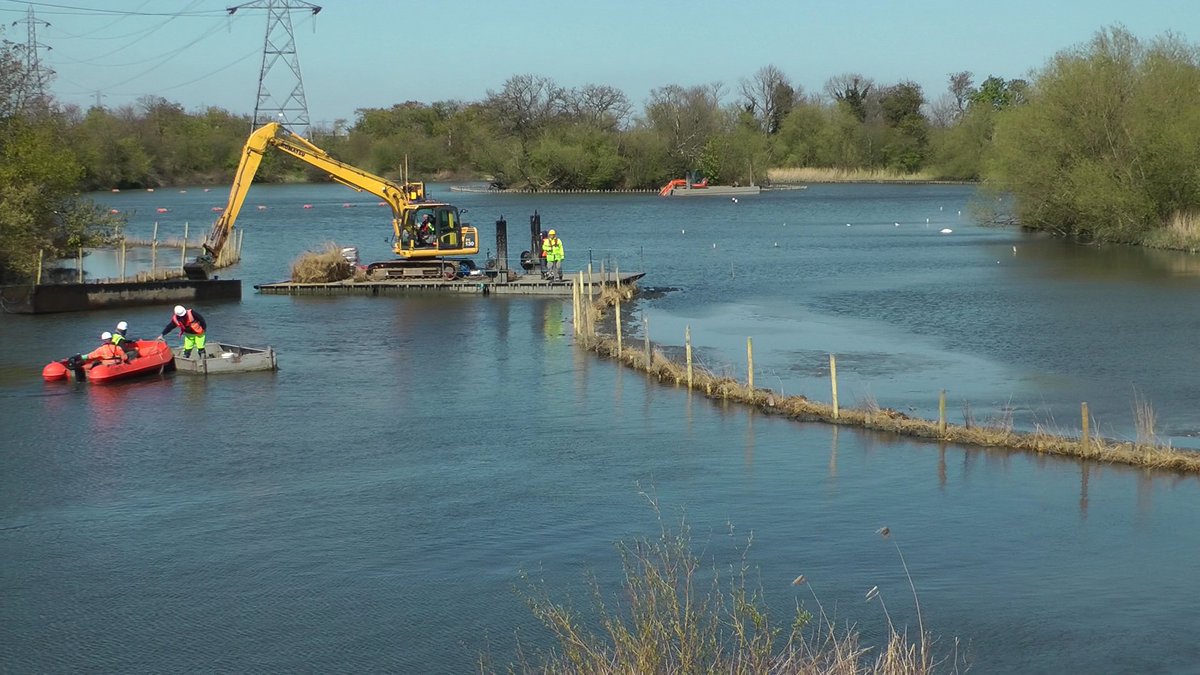 Walthamsteve's tweet image. Many new reedbed #wildlife habitats (2.4 hectares) have been constructed at #Walthamstow #Wetlands @WildWalthamstow