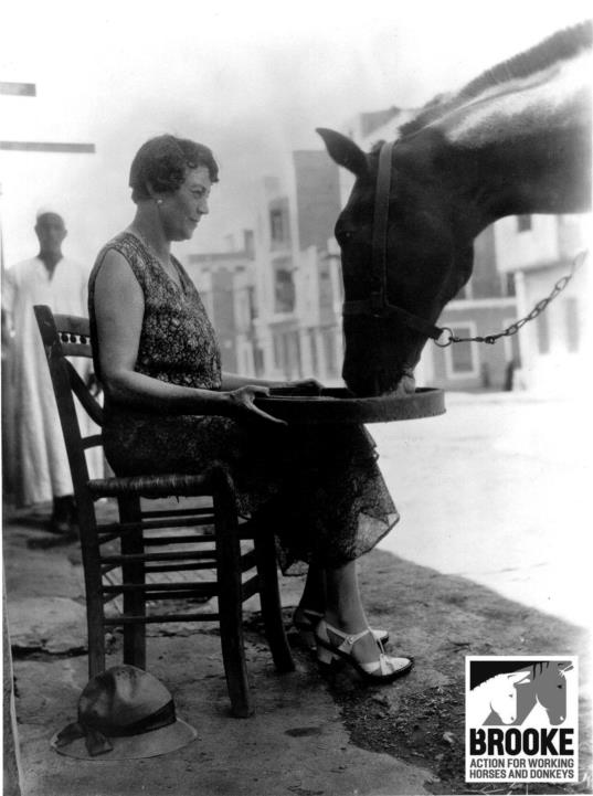 TheBrooke's tweet photo. Happy birthday to our founder Dorothy Brooke! We wouldn't exist today if it were not for her determination. Pls RT https://t.co/DG3dpbTAG8