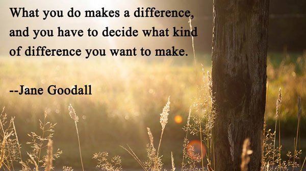 gregInspiration's tweet image. Exercise your choice. #inspirational #quotes