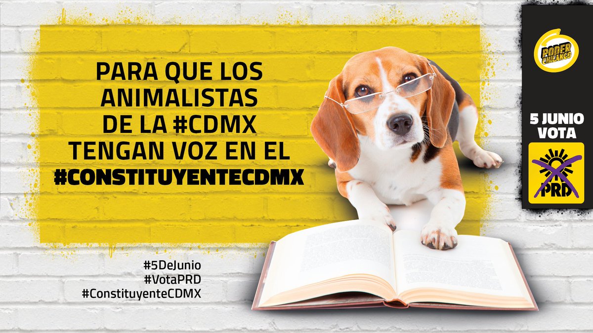 PoderAnimalista's tweet photo. #Animalistas Queremos la inclusión de la agenda animalista en la #ConstituciónCDMX #VotaPRD #ConstituyenteCDMX https://t.co/nEq6m7KS1O
