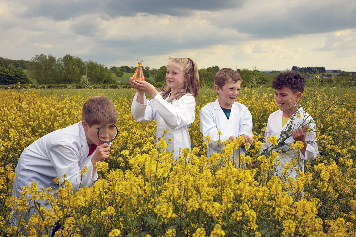 OpenFarmSunday tweet picture