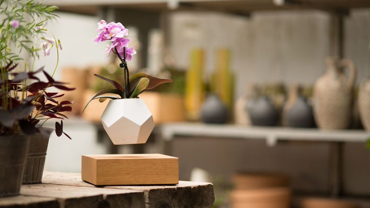 Floating Houseplants Might Be a Thing Now wikire.co/Nokozw #Curbed