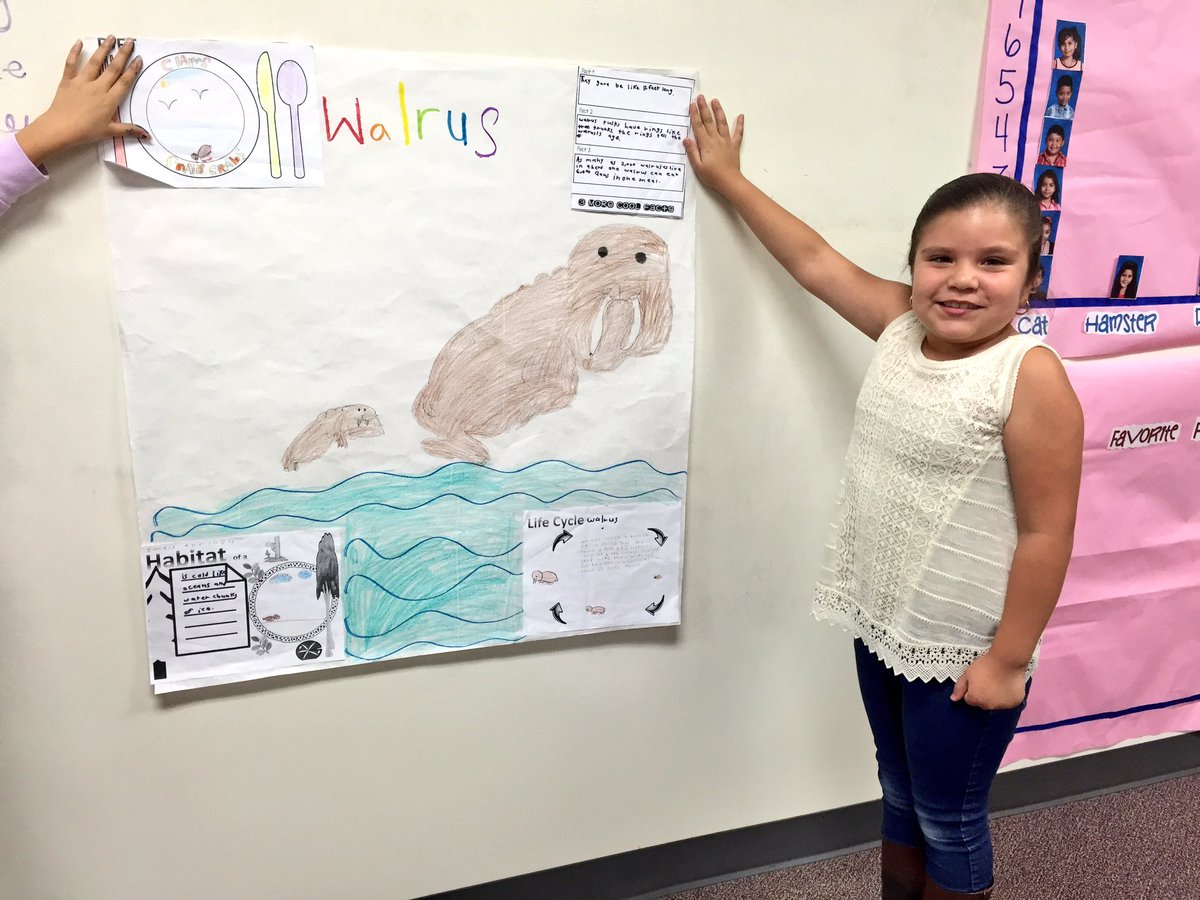 Memorial_Second's tweet photo. #SanchezClass #Bobcatscan #Animal #research #Habitats #diet #lifecycle @MemorialPISD https://t.co/XhiOThbDGq