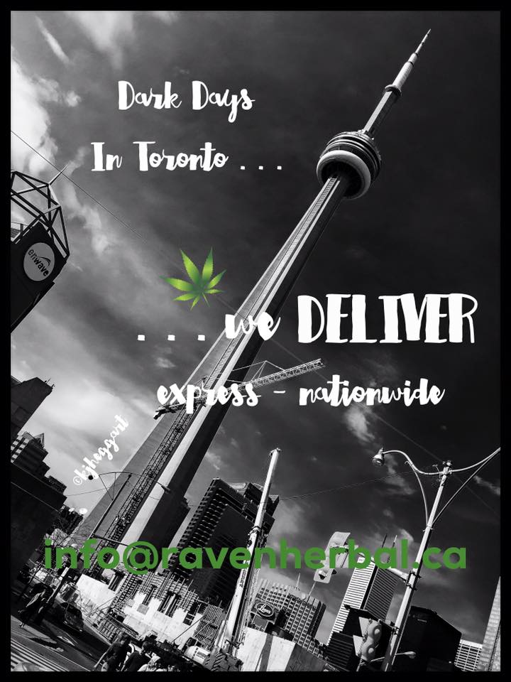 RavenHerbal's tweet photo. Need help getting your #mmj in #yyz ? We have mail order and online ordering-> https://t.co/g2zjDFp7WV https://t.co/9C981OhVmk