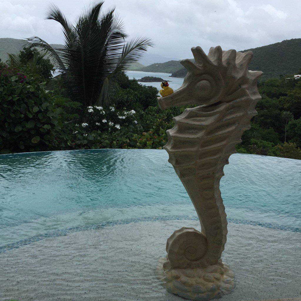 Where am I? #stjohnprovisions #snorkelduck #followtheduck