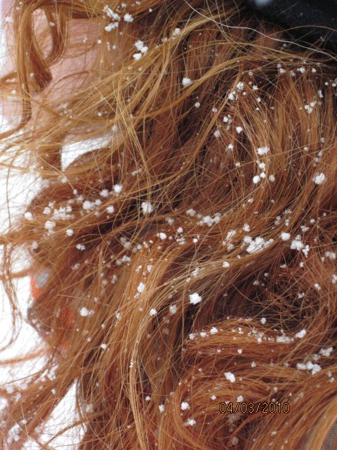 Males_Enjoy's tweet photo. beautiful redheads,pictures of beautiful redheads,beautiful redheads nude https://t.co/UsfFUDHjUW