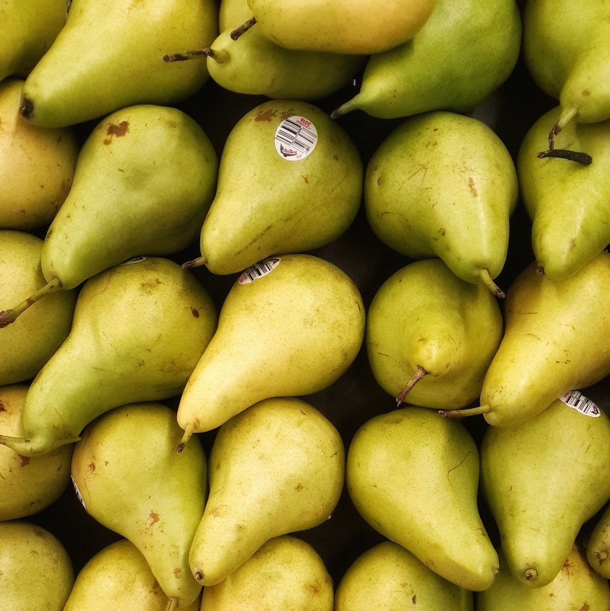 se_fit's tweet photo. #NoTeHasDadoCuentaPero   No olvides comer fruta entre tiempos 
#sefit #FelizMiercoles https://t.co/vg2q8PtWNt