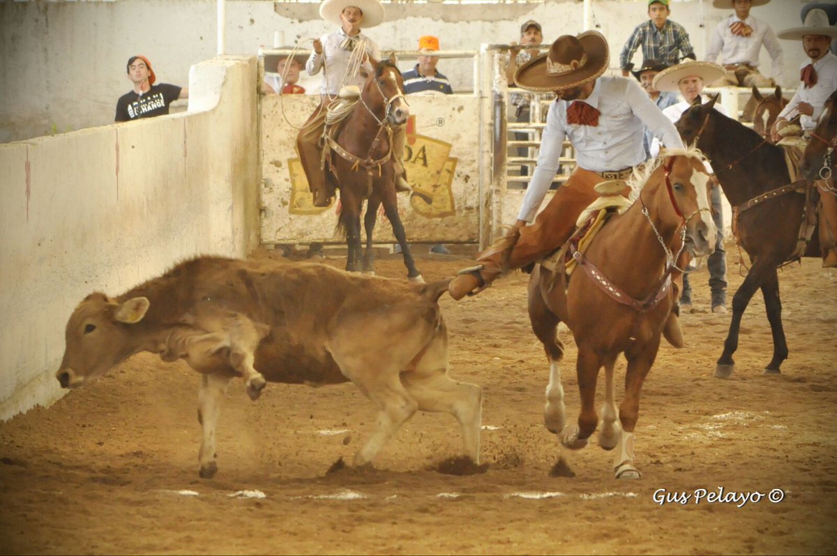 apoderado10's tweet image. Fotos del pasado estatal primera fase, lienzo charro Nito Aceves