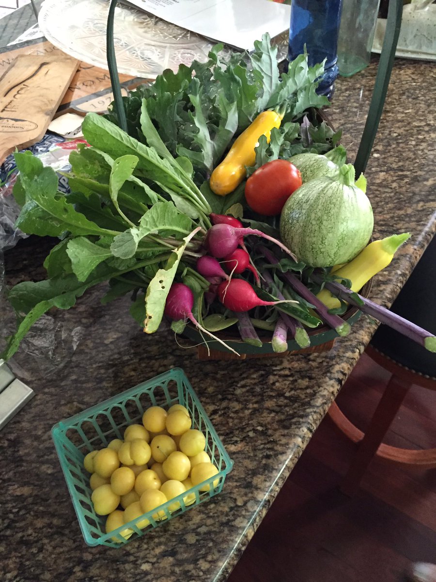 inwardexplore's tweet image. Second harvest!