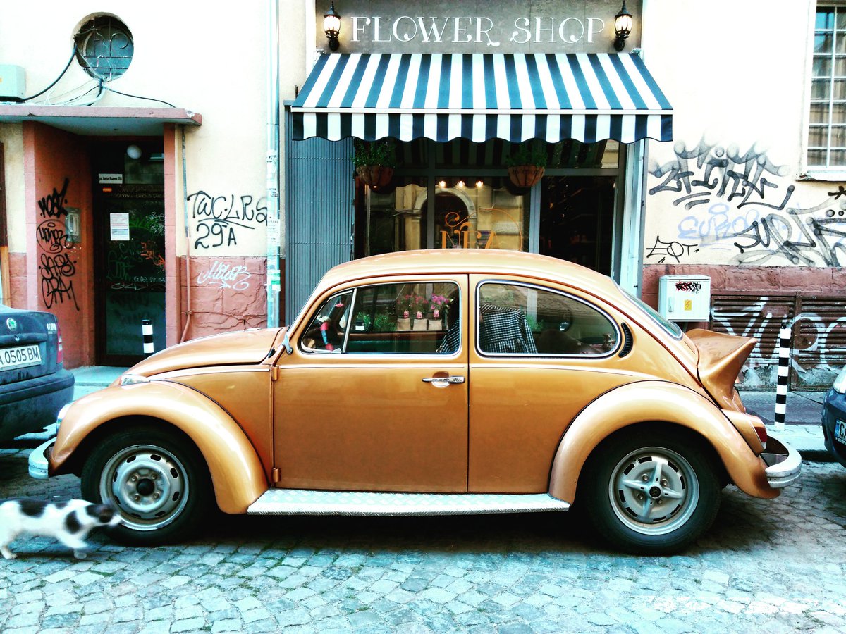 Radostina_Y's tweet photo. #streetart #beauty #Sofia #retro #car #nice #day #view #summer #UrbanCode #culture #Bulgaria #capital https://t.co/RtzDPGESGo