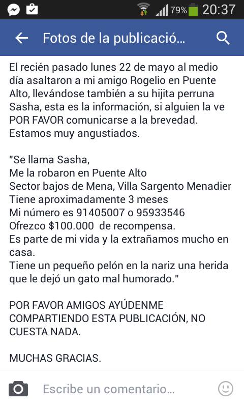 #Disharashera tweet media