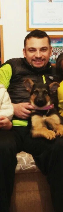 #Disharashera tweet media