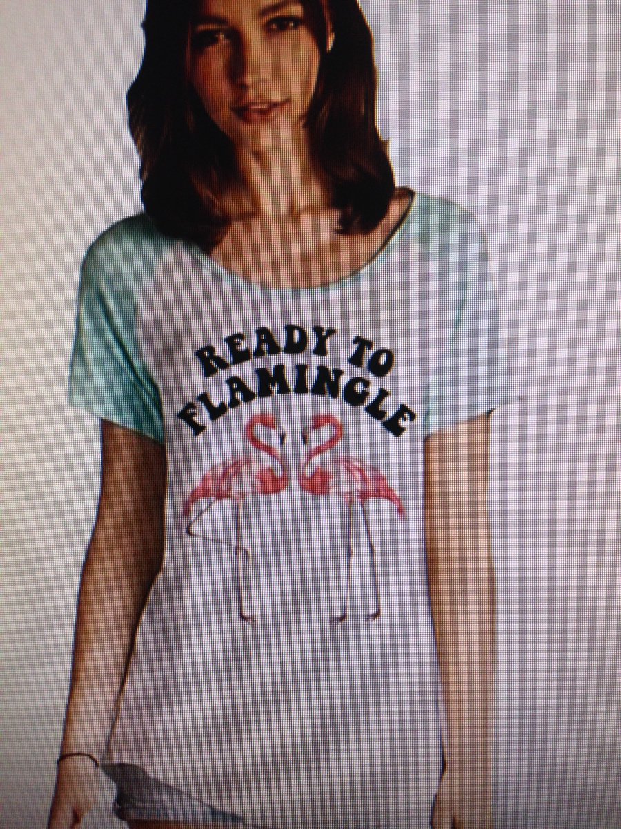 RadioAndrea's tweet photo. I need this shirt. #ReadyToFlamingle #Flamingo https://t.co/b3ZJ5DOmkt