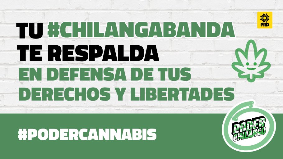 PoderCannabis's tweet image. Este 5 de junio mi #ChilangaBanda me respalda #YaGanamos #VotaPRD y defiende tus derechos