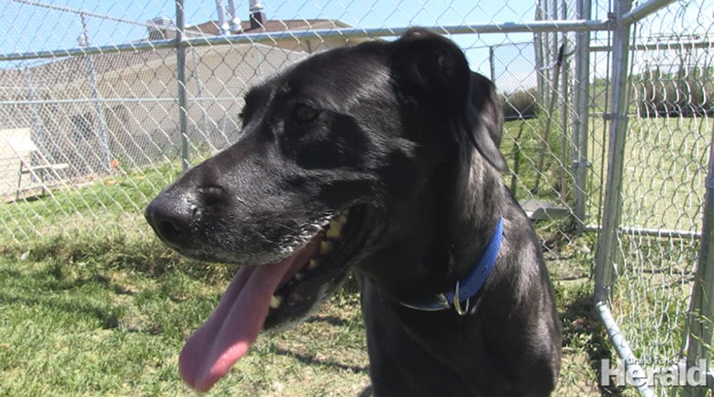 GFH Multimedia tweet media