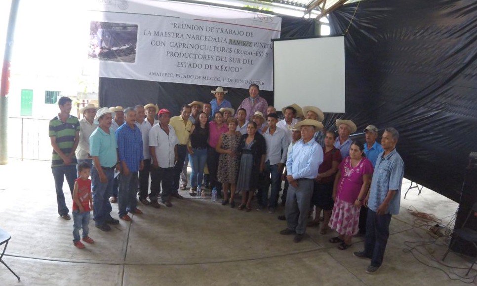 narcedaliarmz's tweet image. Durante 2015 -2016 @INAESMx ha apoyado proy estratégico para producción ganado caprino en el sur del Estado de Méx