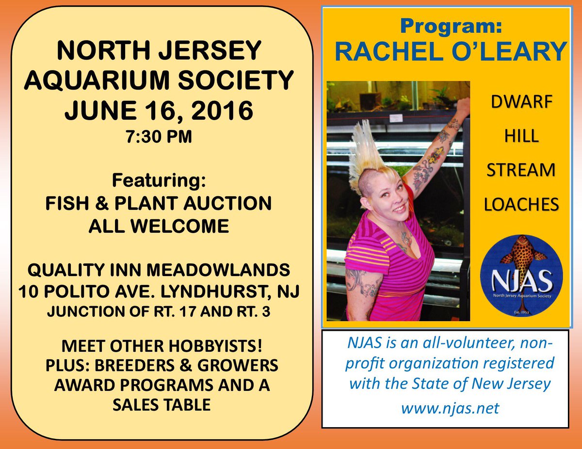 NorthJerseyAS's tweet photo. COME TO OUR GREAT JUNE 16th MEETING WITH RACHEL O'LEARY! #NJAS #FISHMEET #MFK #FRESHWATERFISH #LOACHES https://t.co/QajWb1KuJ7