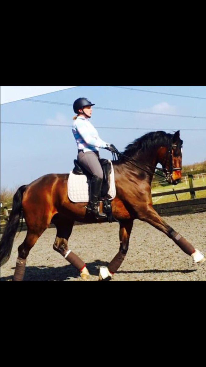 RAYEX10's tweet photo. @horsehealthcouk https://t.co/ZIQUC1DUWk