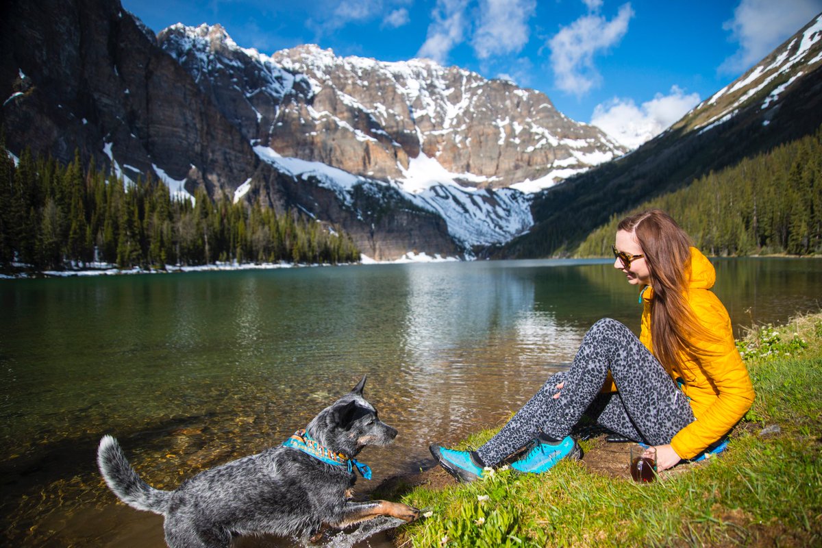 The best early dog walks end at an alpine lake! Beauty of a morning at Taylor Lake Banff NP! #hike365