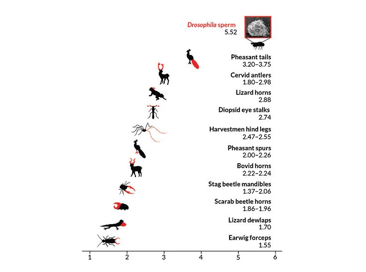 7/#366papers How sexual selection can drive the evolution of costly sperm ornamentation buff.ly/1Y1r5S6