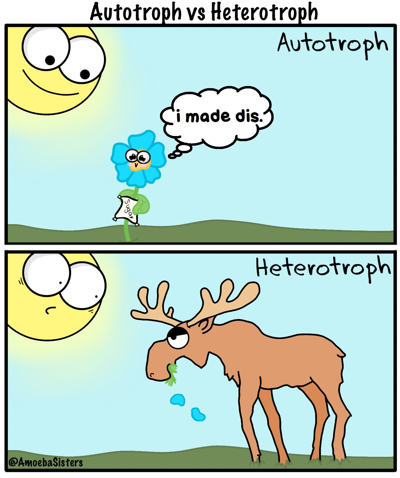 Amoeba Sisters on Twitter "Poll answer! Plant & fungi are
