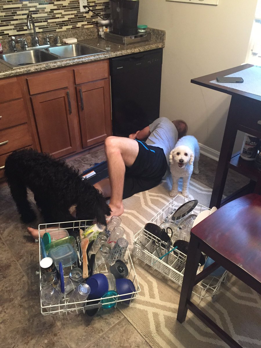 mrsallisonnutt's tweet image. #homeownerproblems #dogparentproblems #dishwasherproblems #somanyproblems