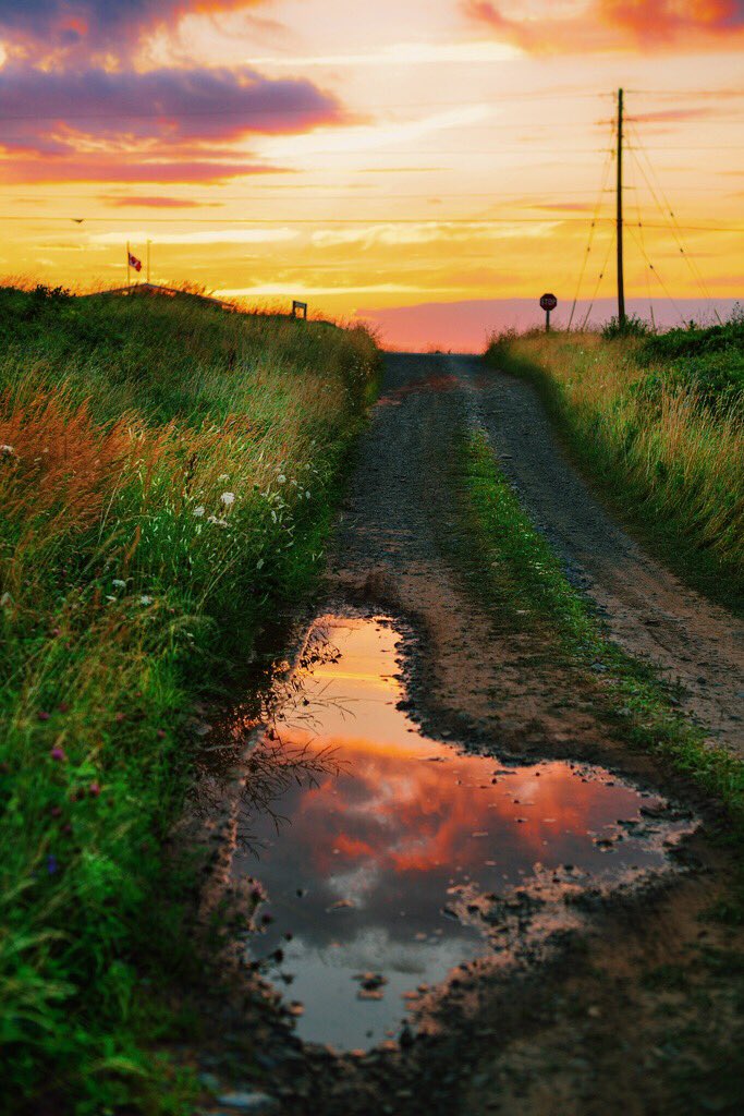 SStandardCo's tweet photo. Makes me wanna take a back road... https://t.co/ZbBQpTgM6i