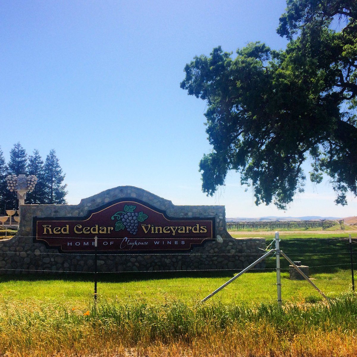 Our home ❤️❤️ #redcedarvineyards #wine #clayhousewines #winery #vineyard #pasorobles #redcedarvineyard