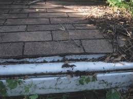 NgmBanks's tweet photo. OLD GUTTERS NOT WORKING PROPERLY? WE CAN CLEAN, REPAIR, OR REPLACE THEM @ REASONABLE $ VISIT https://t.co/rP5uydDfyG https://t.co/iTQtaqRe65