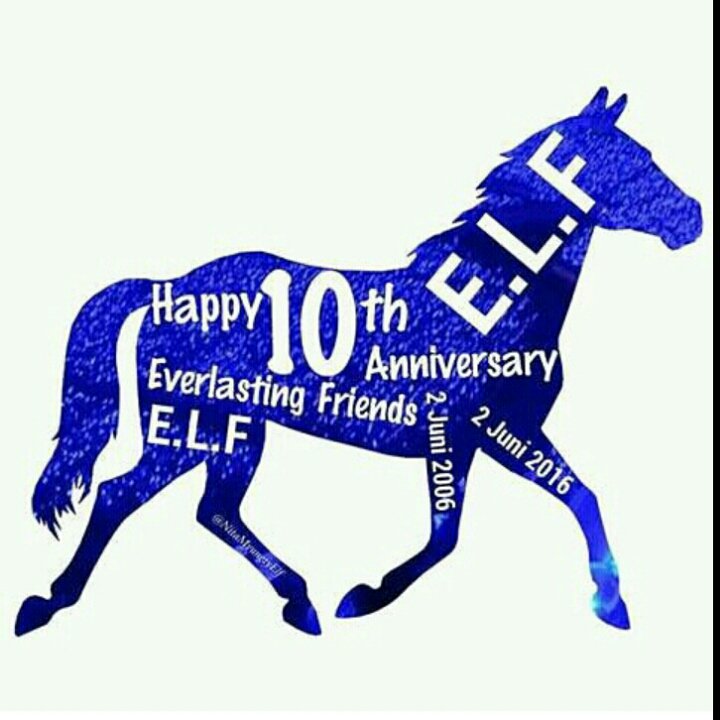 SiHaeBrother's tweet photo. ALWAYS TO BE BIG FANDOM ELFS... #Happy10thwithSuperJunior #HappyAnniversary10thSuperJunior https://t.co/sTpcksA04R
