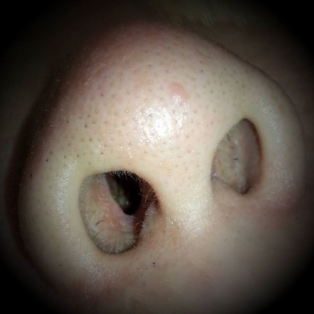 梅田吉雄 Di Twitter 16 06 02 鼻の中ツルツルや Gossoアフター5日 だそうです Gosso 鼻用 ブラジリアンワックス やってみたい T Co 47dusbb2