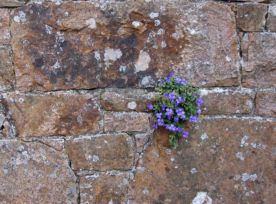 kellymabelle's tweet image. taking time in a simple place