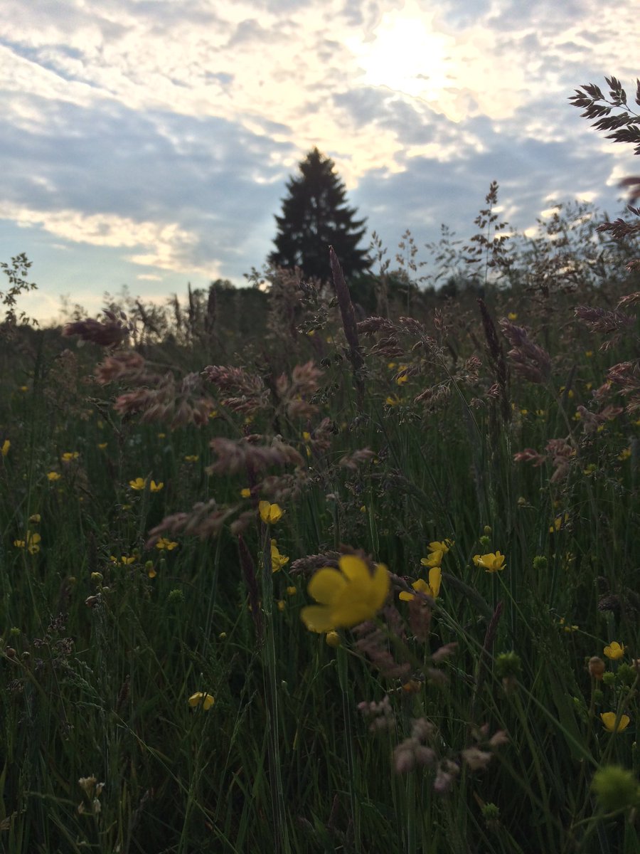 DatReethusGramb's tweet photo. 5% Frühbuchervorteil für die Saison 2017 https://t.co/65bU5VOPOg