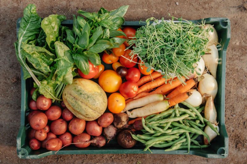 Learn more: #Organic Future fund one of new #impactinvesting products in Aust marketplace 
bit.ly/1TXQppd