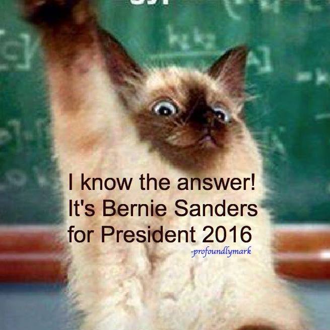 MauiWahini's tweet photo. #BernieOrBust #Bernie2016 #Animals4Bernie
Who has 100% rating w/ both Humane Soc & Defenders of Wildlife? https://t.co/VpJ3VqlqR4