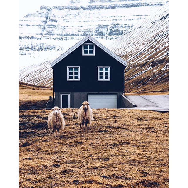 Hey guys! <a href="/craighowes/">Craig Howes</a> here running the Naked Planet take over! This photo featur... 
bit.ly/1TQDisK