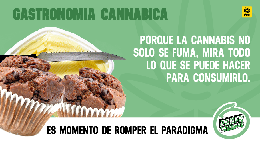 PoderCannabis's tweet image. Las oportunidades de regular la marihuana son infinitas. Abre la mente y #VotaPRD