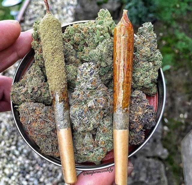420xThoughts's tweet photo. What I need rn https://t.co/XIHPErgGyt