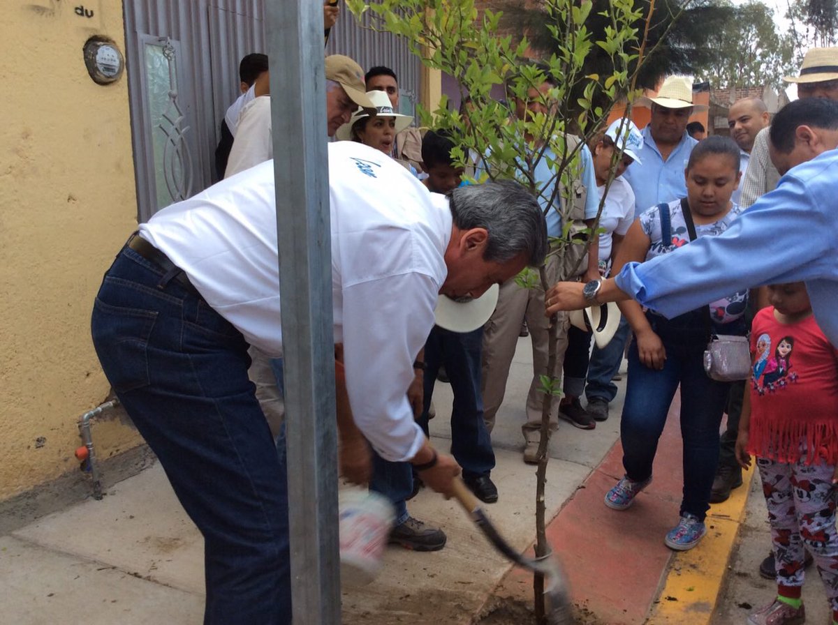 municipio_leon's tweet photo. #LeónConRumbo plantamos 40 árboles cítricos en Lomas del Sol porque los vecinos así lo pidieron #LeónSustentable. https://t.co/Oe2WJ1s3Tj