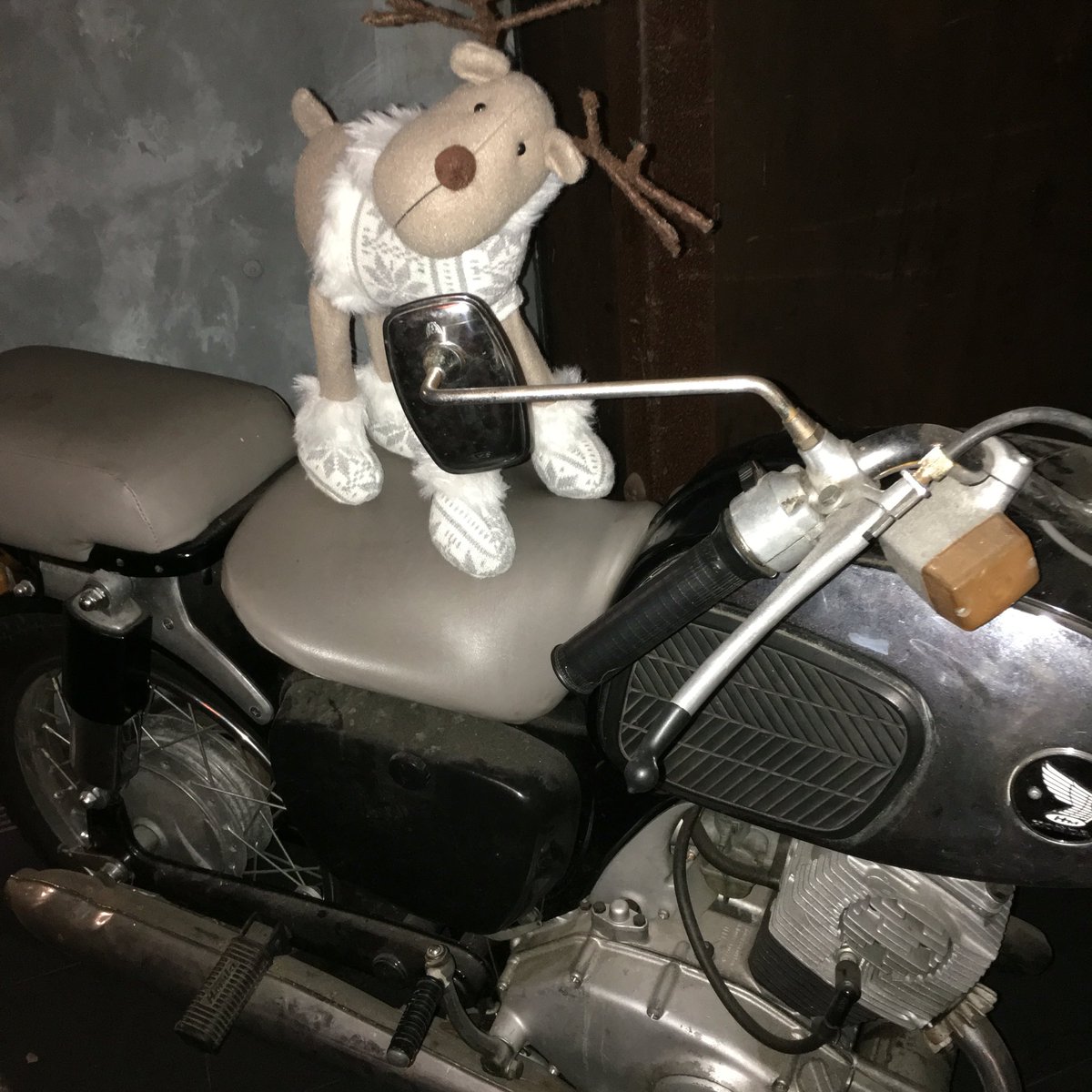 reindeerpal's tweet image. I went cruising on a motorbike last night. The helmet didn&apos;t fit my head properly
#reindeerproblems #reindeerpal