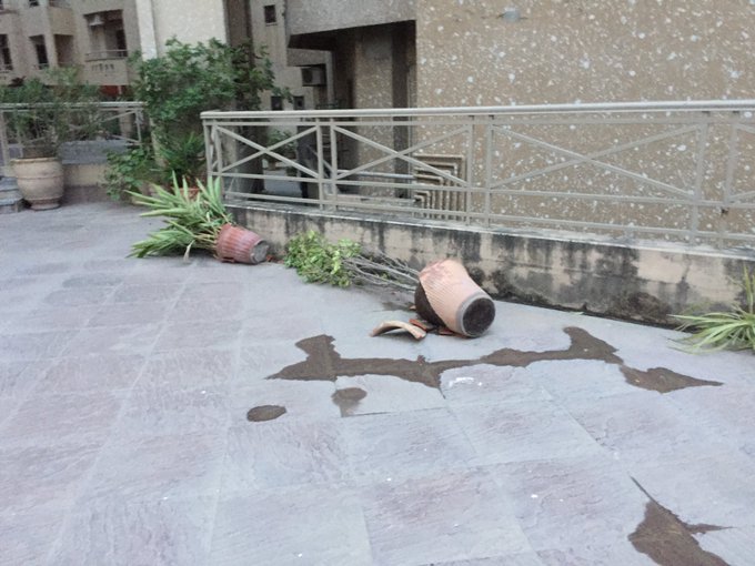 View image on Twitter